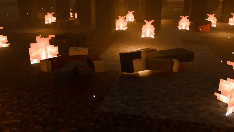 The burnt clearing